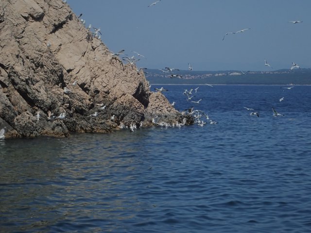 foto 08.06.19 20 34 06